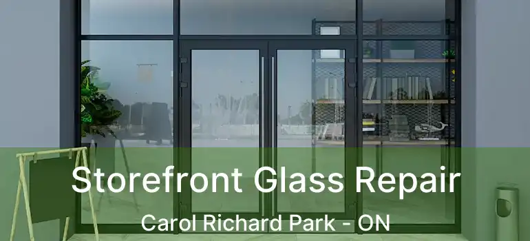 Storefront Glass Repair Carol Richard Park - ON
