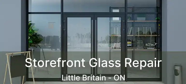  Storefront Glass Repair Little Britain - ON
