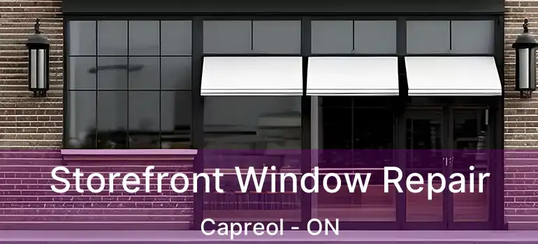  Storefront Window Repair Capreol - ON