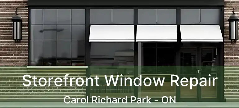  Storefront Window Repair Carol Richard Park - ON