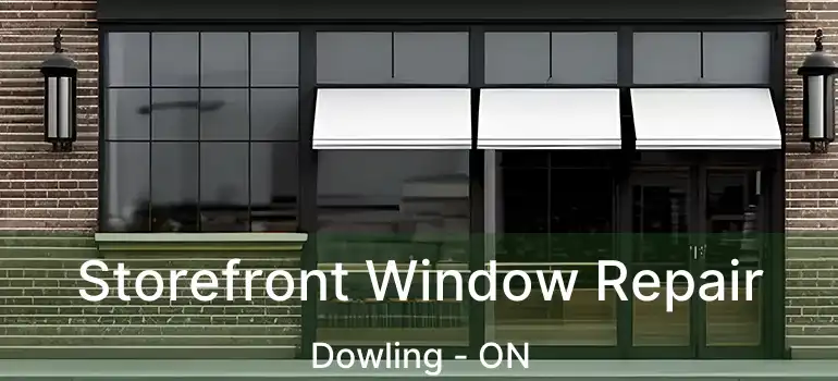  Storefront Window Repair Dowling - ON