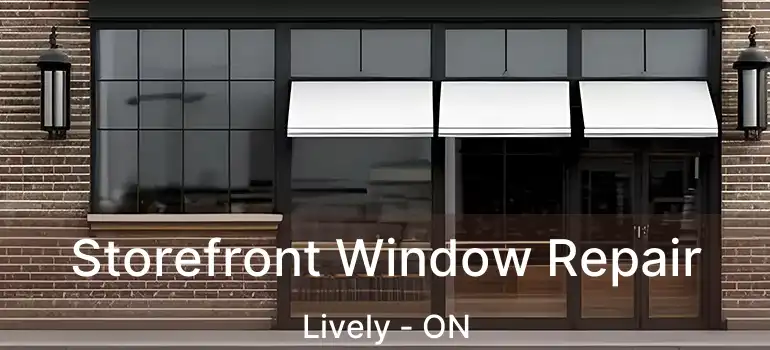  Storefront Window Repair Lively - ON