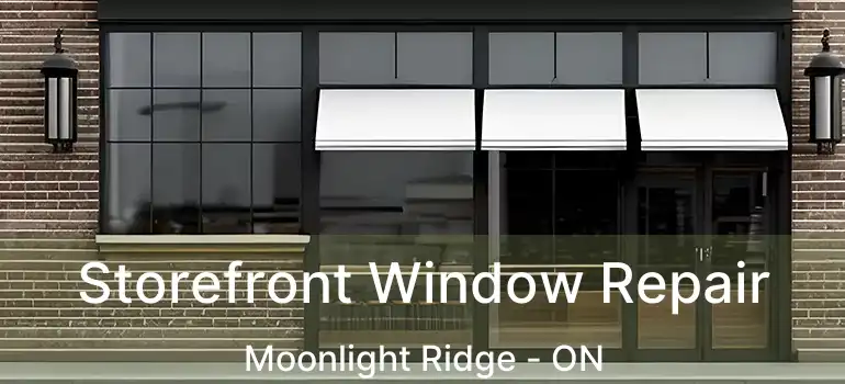  Storefront Window Repair Moonlight Ridge - ON