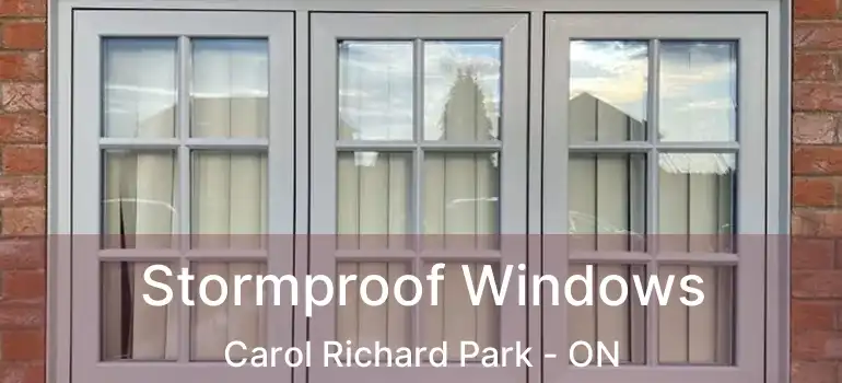  Stormproof Windows Carol Richard Park - ON