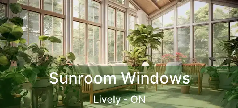  Sunroom Windows Lively - ON