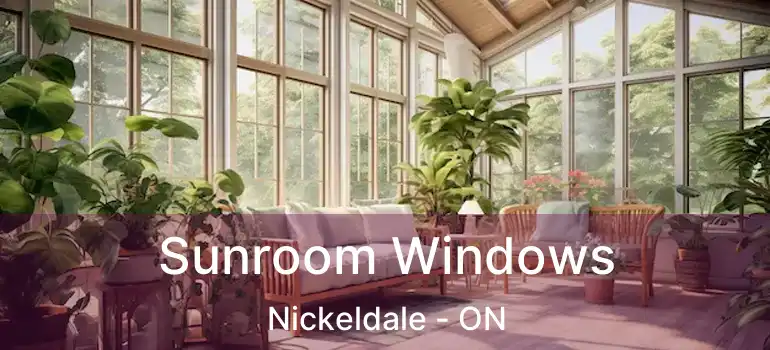  Sunroom Windows Nickeldale - ON