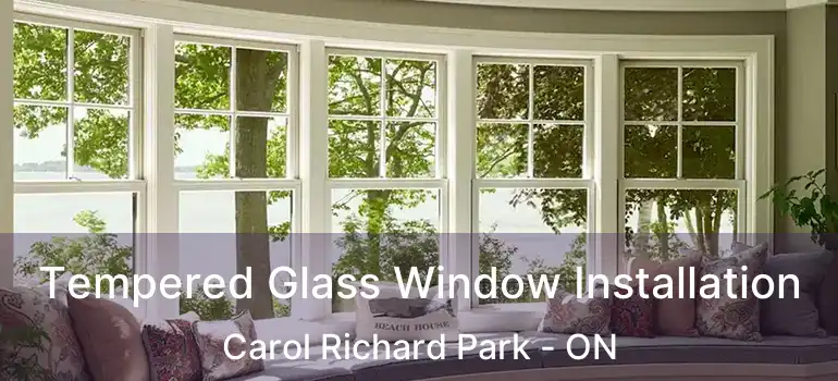  Tempered Glass Window Installation Carol Richard Park - ON