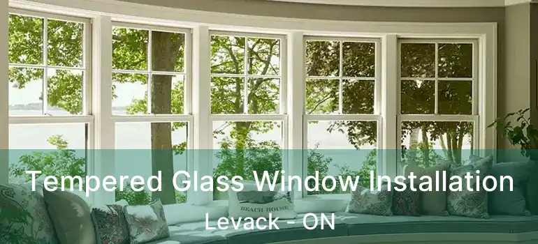  Tempered Glass Window Installation Levack - ON