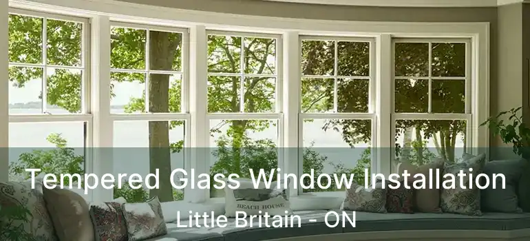  Tempered Glass Window Installation Little Britain - ON