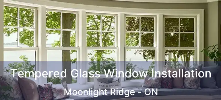  Tempered Glass Window Installation Moonlight Ridge - ON
