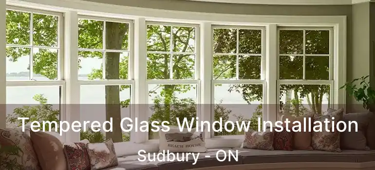  Tempered Glass Window Installation Sudbury - ON