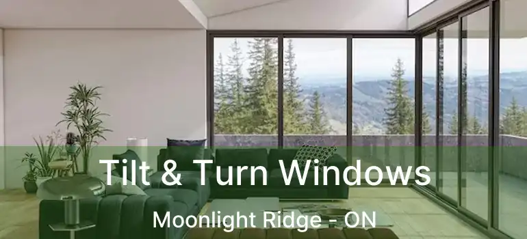  Tilt & Turn Windows Moonlight Ridge - ON