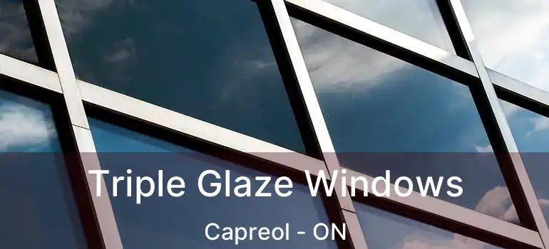  Triple Glaze Windows Capreol - ON