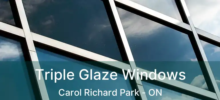  Triple Glaze Windows Carol Richard Park - ON
