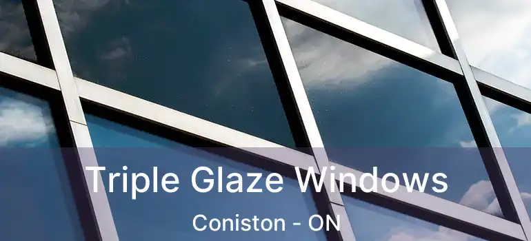  Triple Glaze Windows Coniston - ON