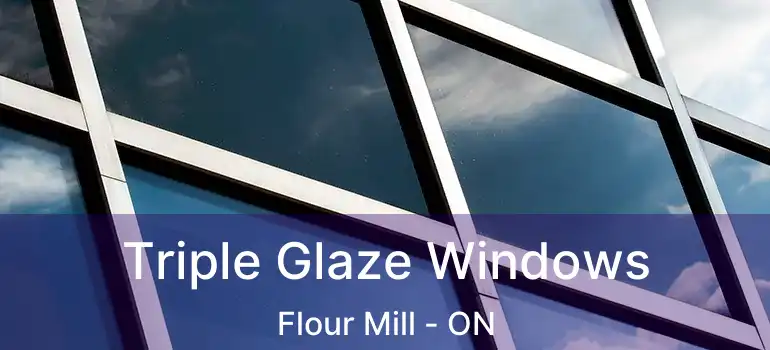  Triple Glaze Windows Flour Mill - ON
