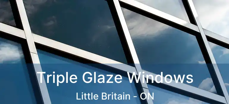  Triple Glaze Windows Little Britain - ON