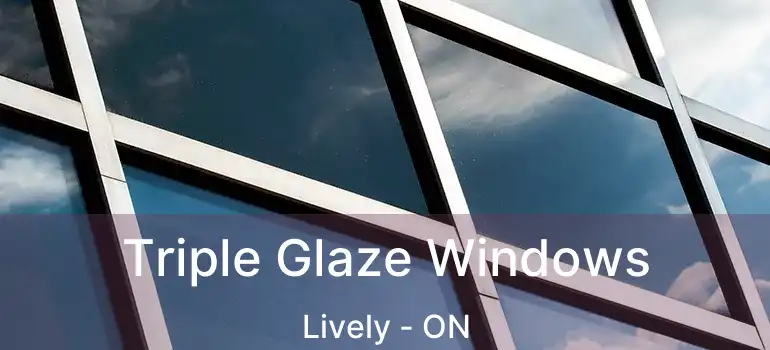  Triple Glaze Windows Lively - ON