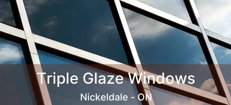  Triple Glaze Windows Nickeldale - ON
