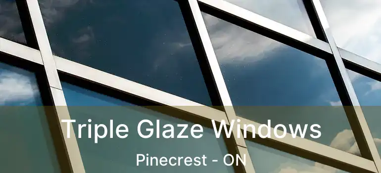  Triple Glaze Windows Pinecrest - ON