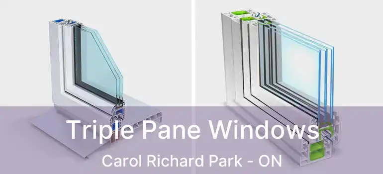  Triple Pane Windows Carol Richard Park - ON