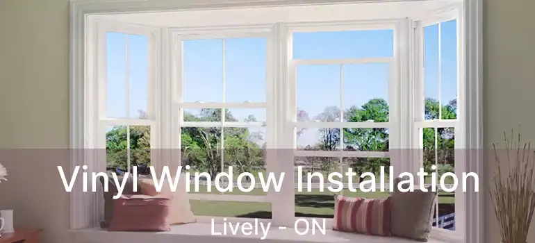  Vinyl Window Installation Lively - ON