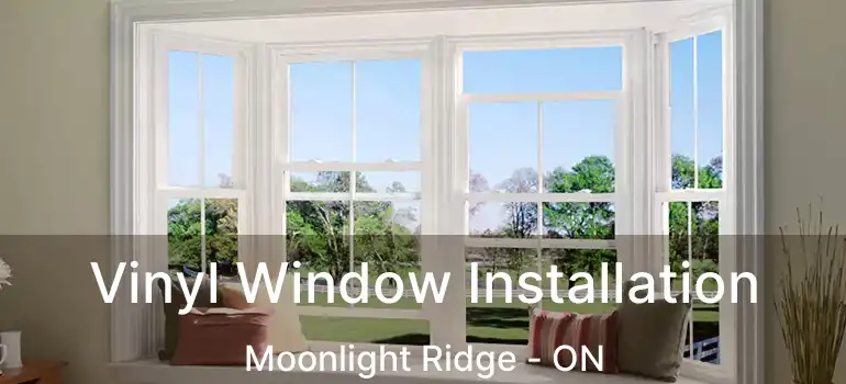  Vinyl Window Installation Moonlight Ridge - ON