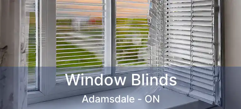  Window Blinds Adamsdale - ON
