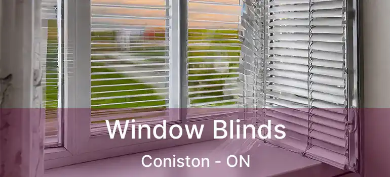  Window Blinds Coniston - ON