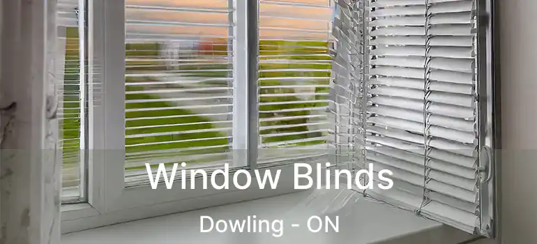  Window Blinds Dowling - ON