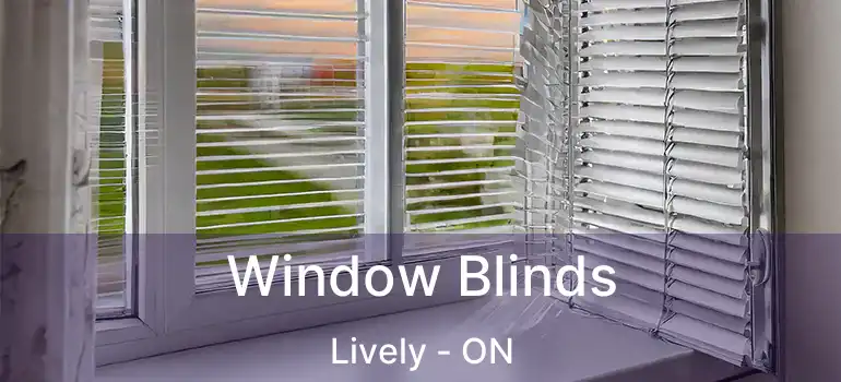  Window Blinds Lively - ON