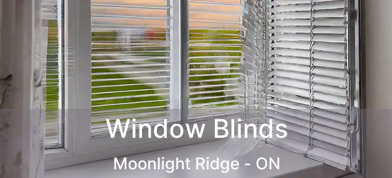  Window Blinds Moonlight Ridge - ON