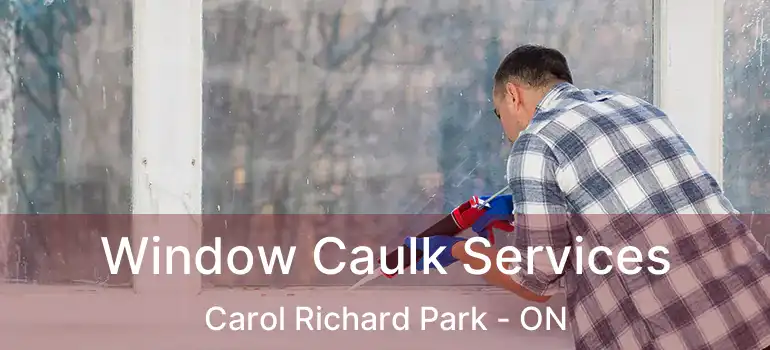  Window Caulk Services Carol Richard Park - ON