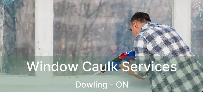  Window Caulk Services Dowling - ON