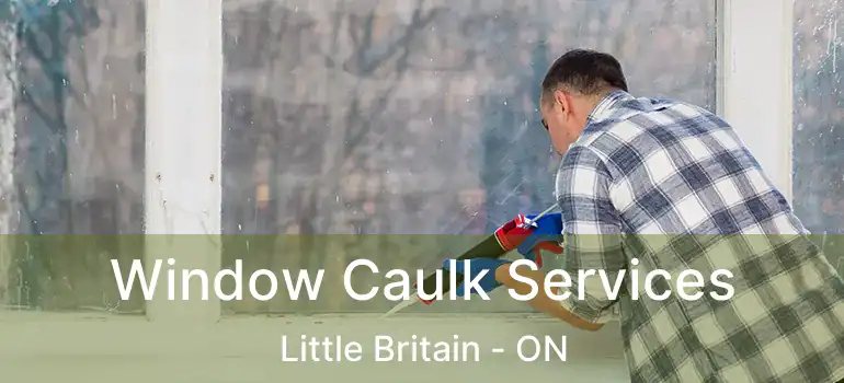  Window Caulk Services Little Britain - ON