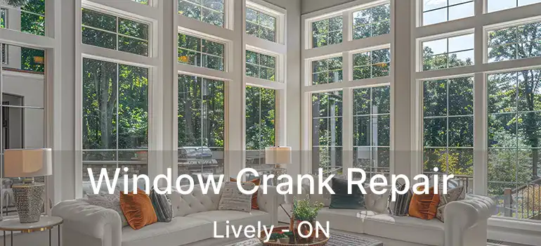  Window Crank Repair Lively - ON
