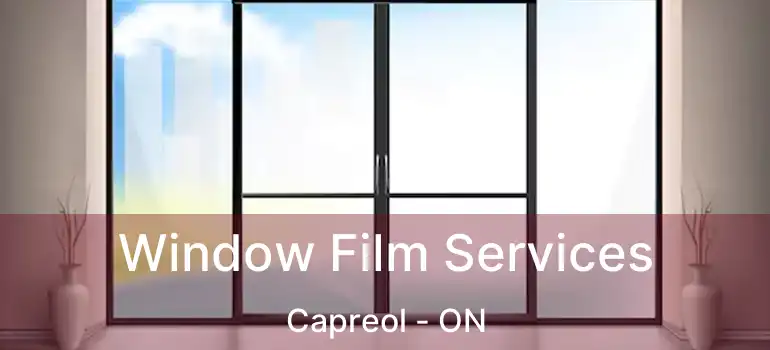  Window Film Services Capreol - ON
