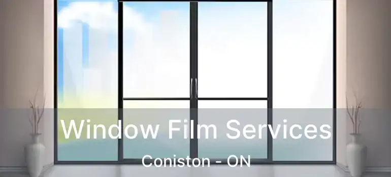  Window Film Services Coniston - ON