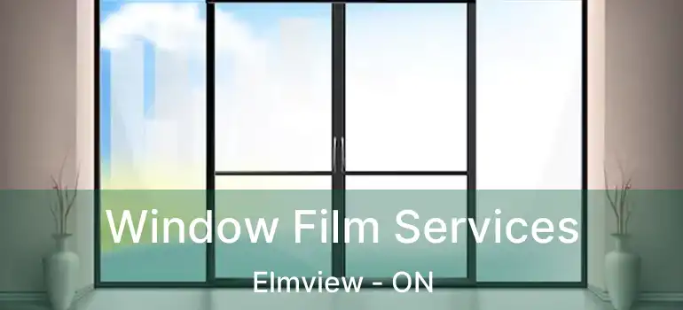  Window Film Services Elmview - ON