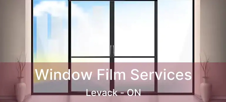  Window Film Services Levack - ON