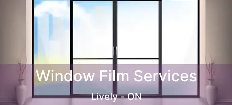  Window Film Services Lively - ON
