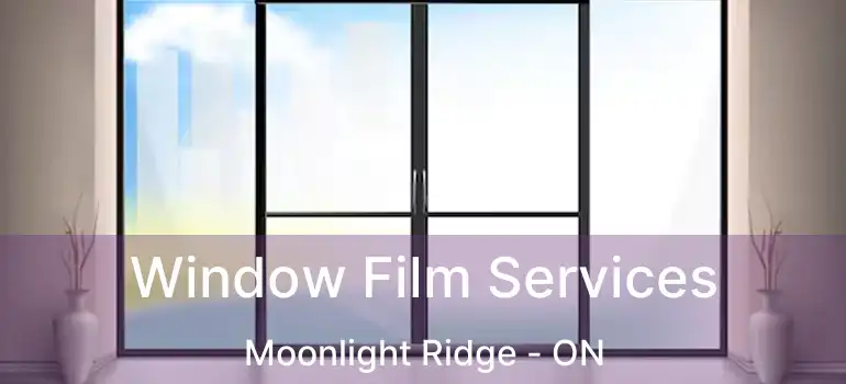  Window Film Services Moonlight Ridge - ON