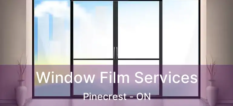  Window Film Services Pinecrest - ON