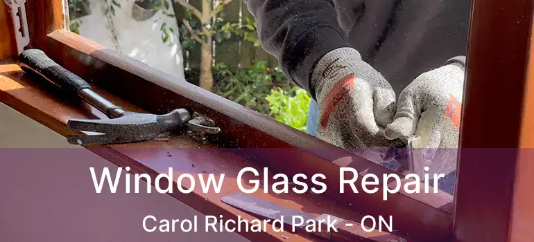  Window Glass Repair Carol Richard Park - ON