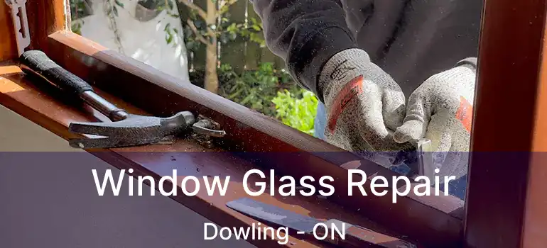  Window Glass Repair Dowling - ON