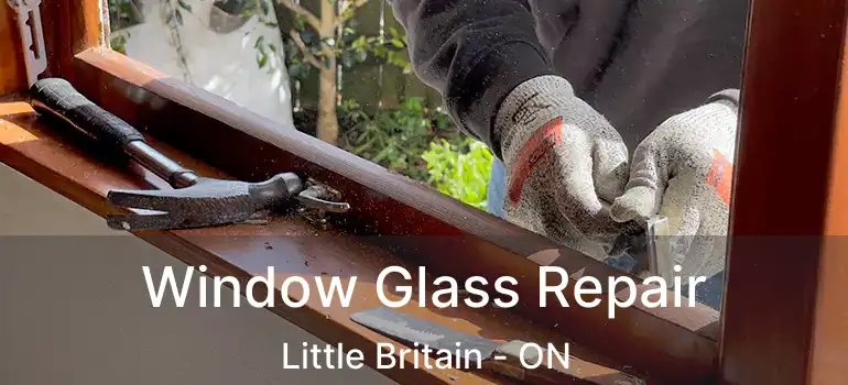  Window Glass Repair Little Britain - ON