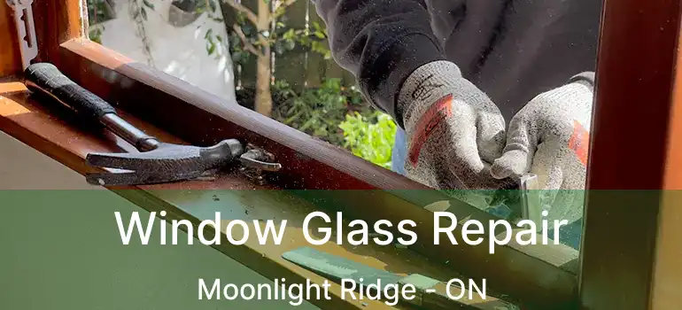  Window Glass Repair Moonlight Ridge - ON