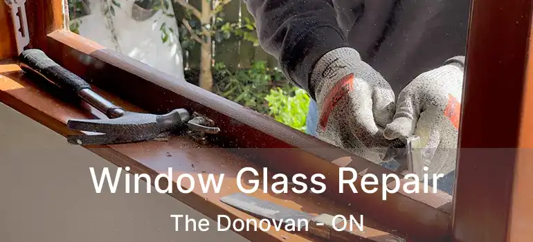 Window Glass Repair The Donovan - ON