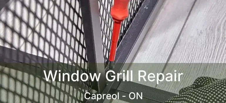  Window Grill Repair Capreol - ON