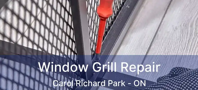  Window Grill Repair Carol Richard Park - ON